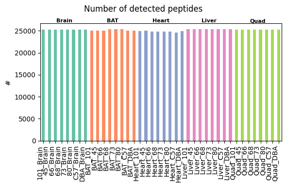 ../_images/tutorials_bludau-2021_tissue-specific-proteoform-inference-across-five-mouse-organs_27_1.png