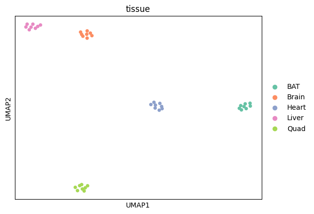 ../_images/tutorials_bludau-2021_tissue-specific-proteoform-inference-across-five-mouse-organs_40_1.png